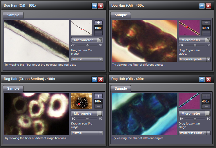 Virtual Microscope screenshot