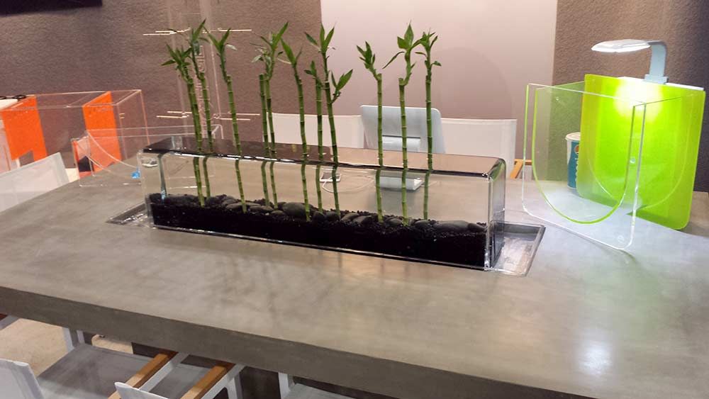 aqua expo3 zpsa04f9a54 - Aquatic Experience - Chicago, IL  Nov. 7-9