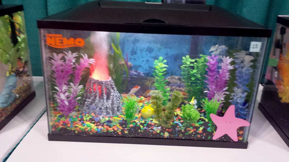 aqua expo7 zps98410b39 - Aquatic Experience - Chicago, IL  Nov. 7-9