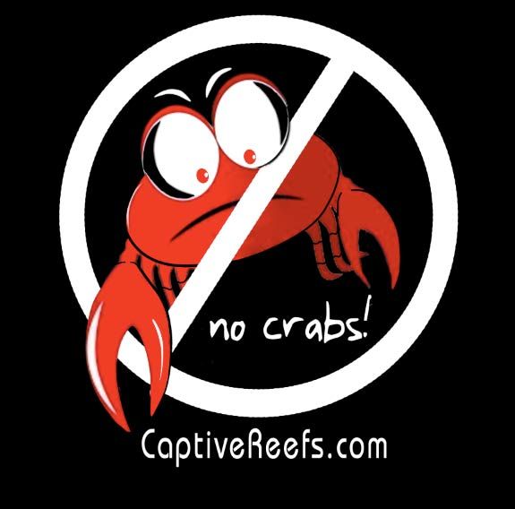 cr crab shirt zps9b6e1a71 - Emerald Crab Eating Polyps