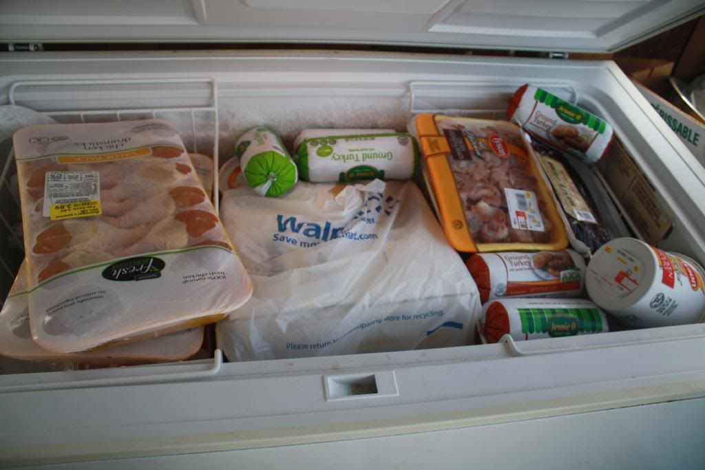 Lets see those freezers ) Boxer Breed Dog Forums