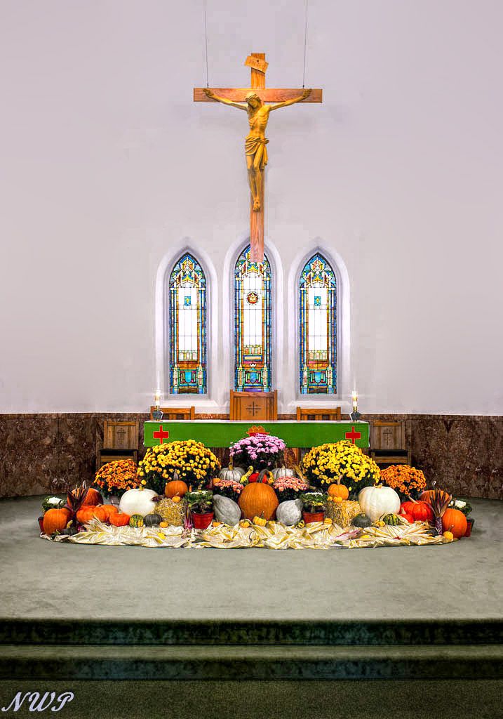 IMAGE: http://i1119.photobucket.com/albums/k622/Brandon_Perkins/8439320422_f28a7a1389_bcopy_zps9378cedc.jpg