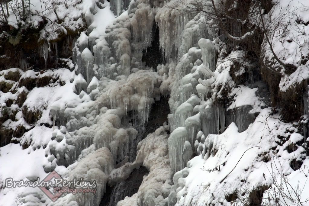 IMAGE: http://i1119.photobucket.com/albums/k622/Brandon_Perkins/photography/IMG_9226.jpg