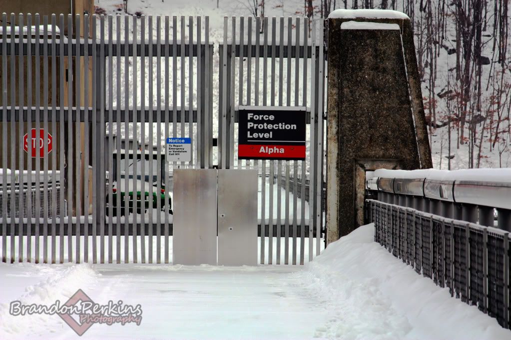 IMAGE: http://i1119.photobucket.com/albums/k622/Brandon_Perkins/photography/IMG_9231.jpg