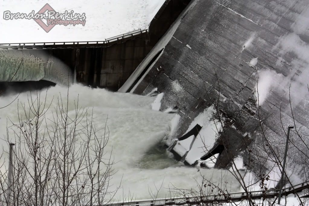 IMAGE: http://i1119.photobucket.com/albums/k622/Brandon_Perkins/photography/IMG_9234.jpg