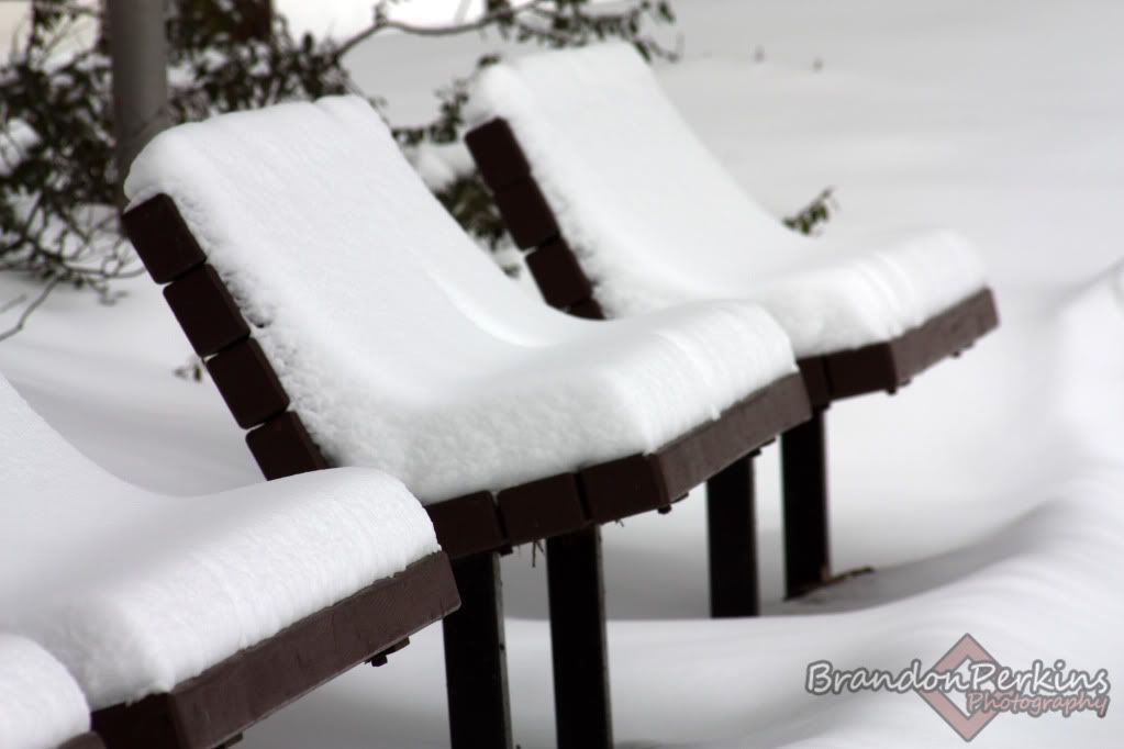 IMAGE: http://i1119.photobucket.com/albums/k622/Brandon_Perkins/photography/IMG_9249.jpg