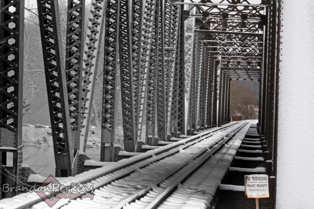 IMAGE: http://i1119.photobucket.com/albums/k622/Brandon_Perkins/photography/IMG_9273.jpg