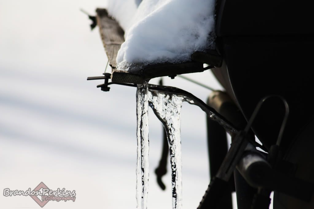 IMAGE: http://i1119.photobucket.com/albums/k622/Brandon_Perkins/photography/IMG_9285.jpg