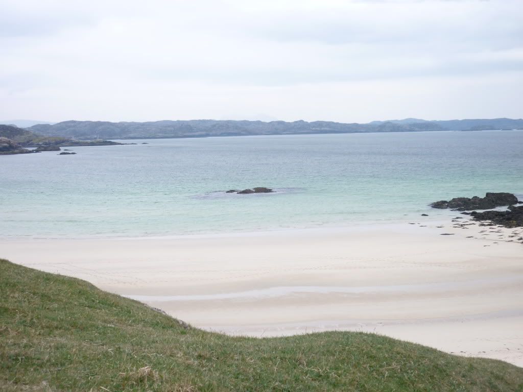 P1000417.jpg
