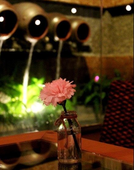 Bee Coffee Huế