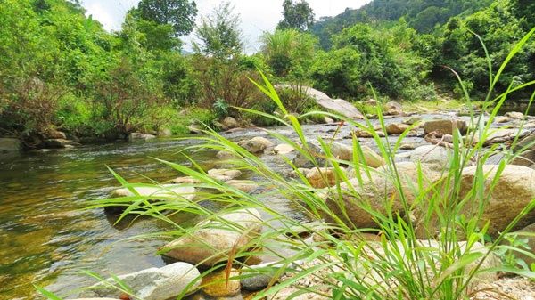 A Lin một dòng suối yên đềm