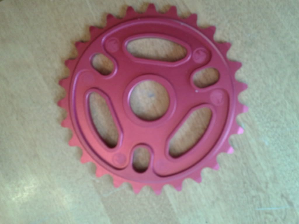 2012-07-05133851.jpg