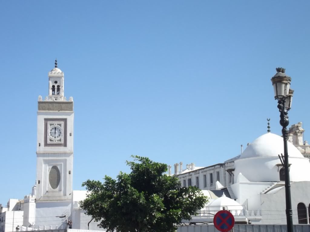 DSCF0601Copia.jpg
