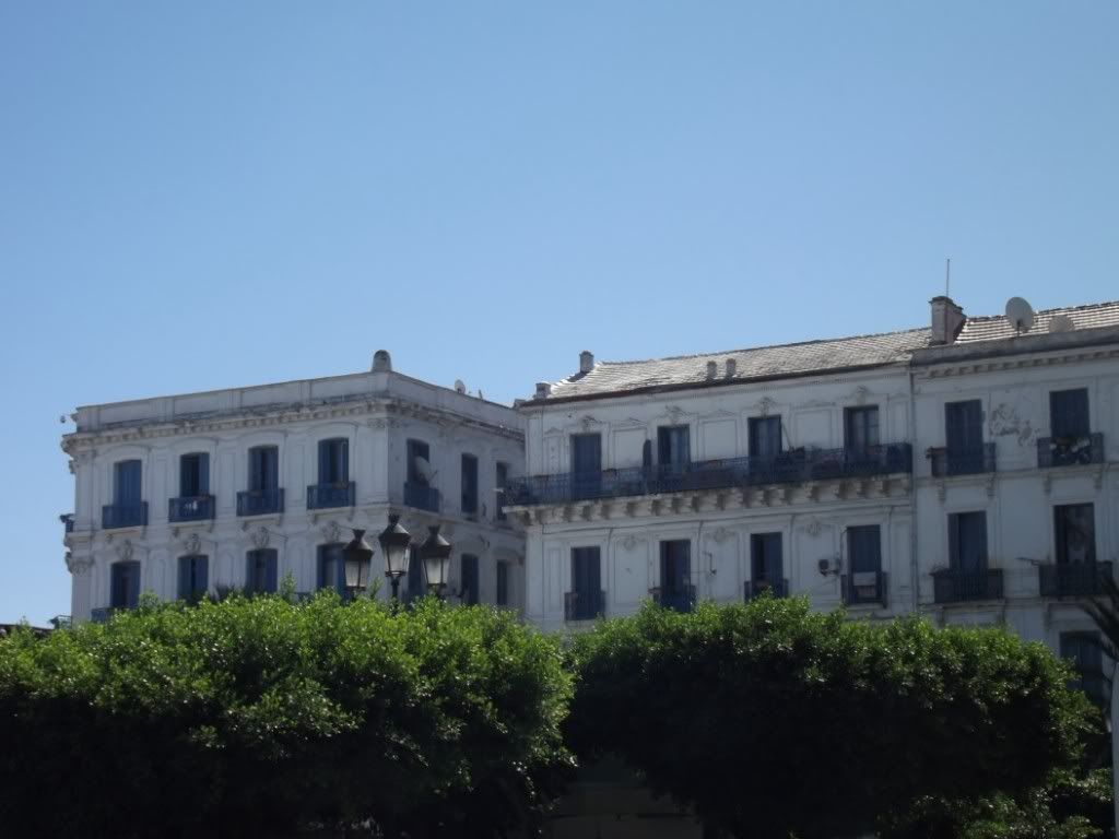 DSCF0602Copia.jpg
