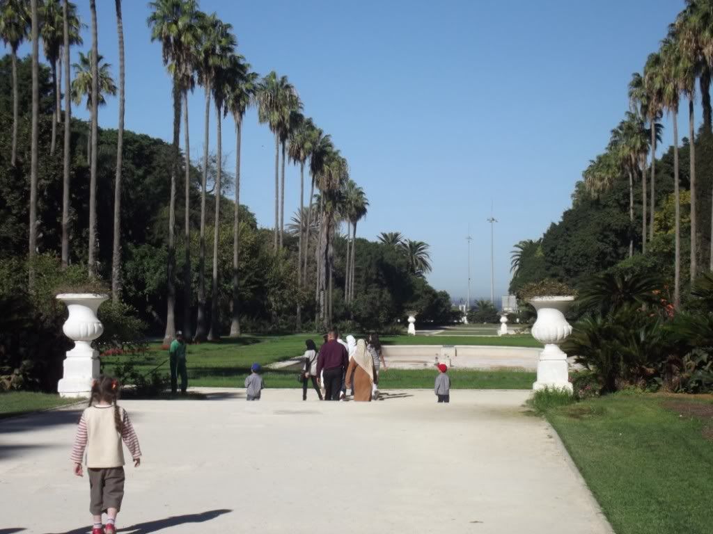 DSCF0689Copia.jpg