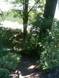 Path down to Swimming Hole at Mile Marker 4 on the Washougal River