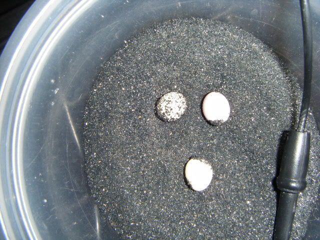 2007_1231Xmasneggs0010.jpg