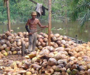 Selamatkan Petani, Bangun Tanggul dengan Multiyears