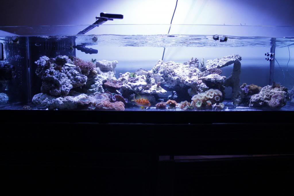 60gallon011_zps3a3c3a37.jpg