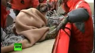 dog rescued after tsunami