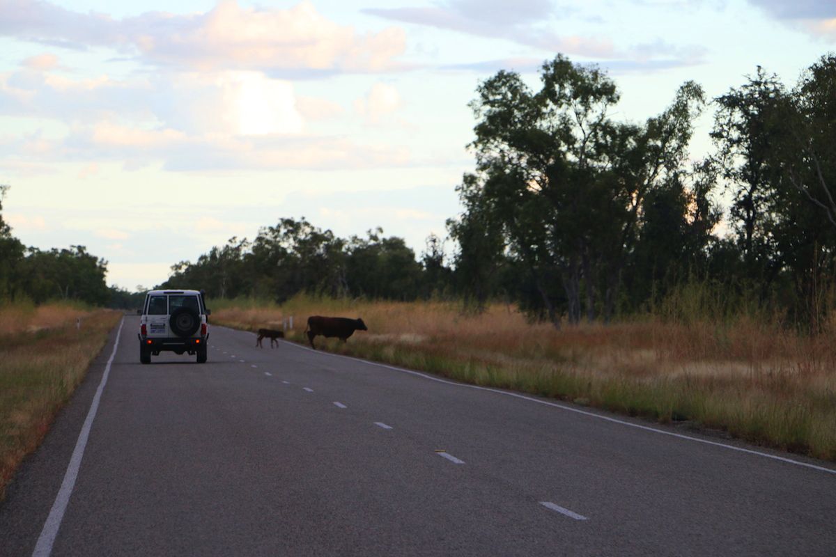 roadtrip territoire du nord australie