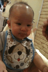 bb dinr at tamp 1
