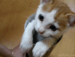Click image to see full size (opens in this window) İmage