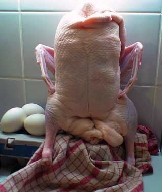 Click image to see full size (opens in this window) İmage