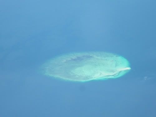 merpati ma60 merpati ma60