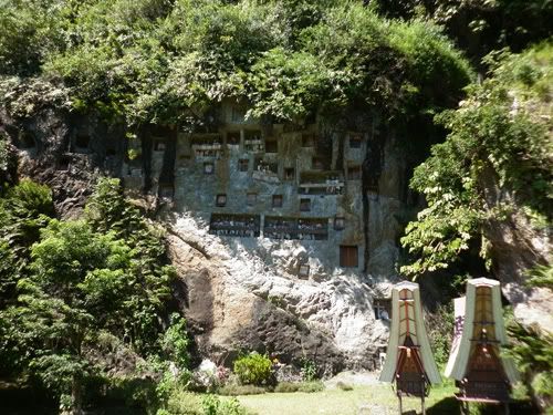 lemo tana toraja lemo tana toraja