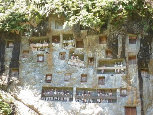 lemo tana toraja lemo tana toraja