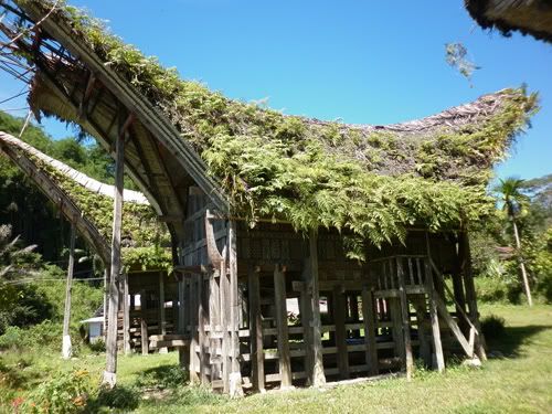lemo tana toraja lemo tana toraja