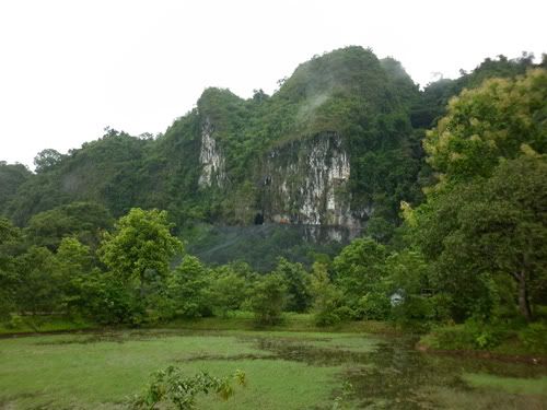 taman nasional bantimurung taman nasional bantimurung