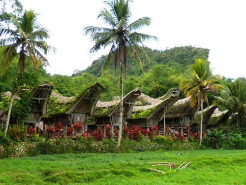 tongkonan toraja tongkonan toraja