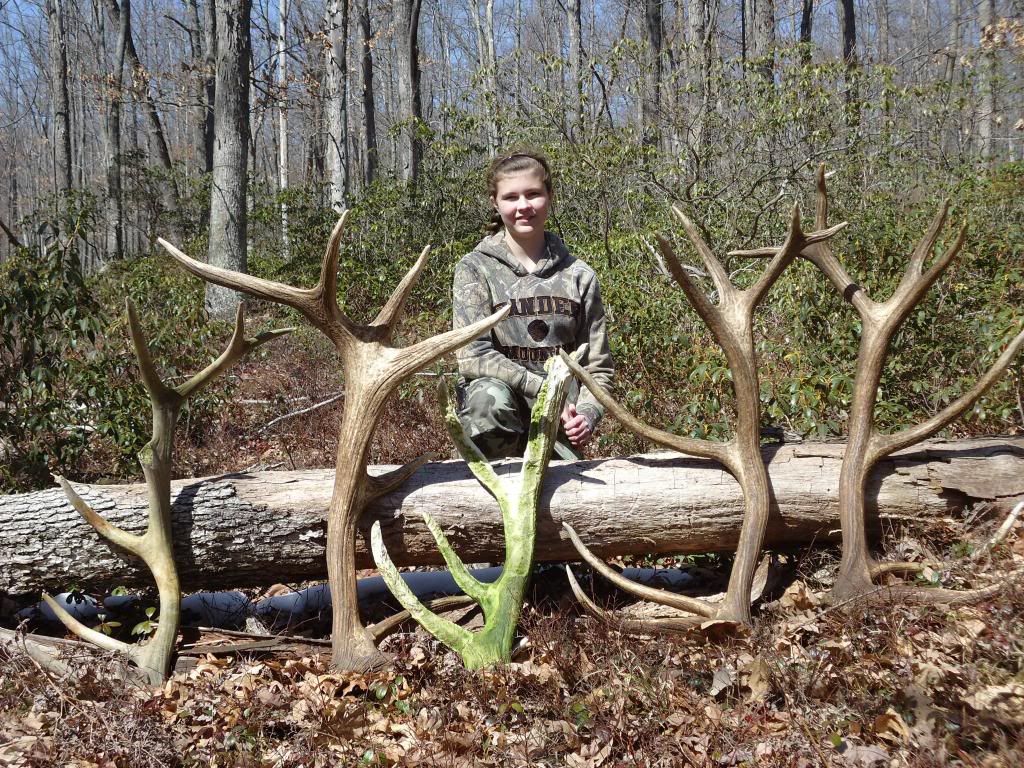 Two great Elk shed hunting days in Pa. The Outdoor