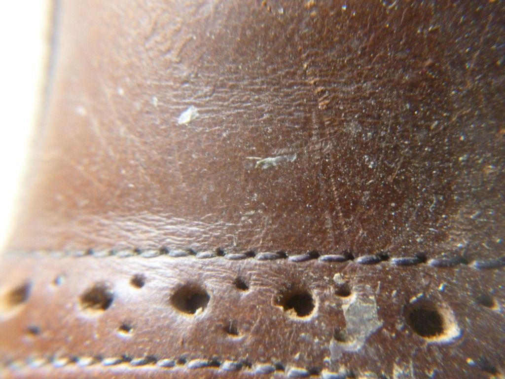 P1010741.jpg