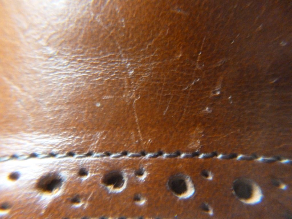 P1010742.jpg