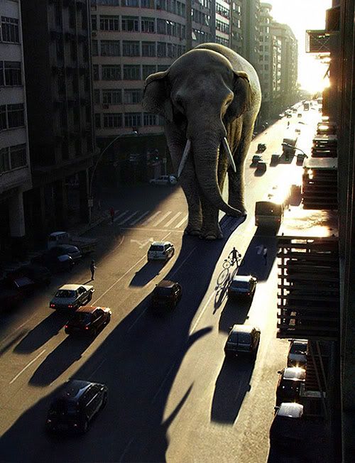 Best of Photoshop Tutorials 2009