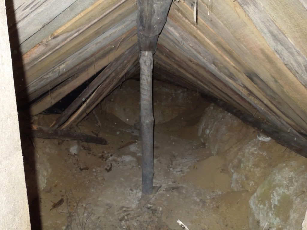 More polish fences - Country Singletree