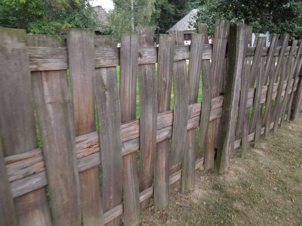 More polish fences - Country Singletree
