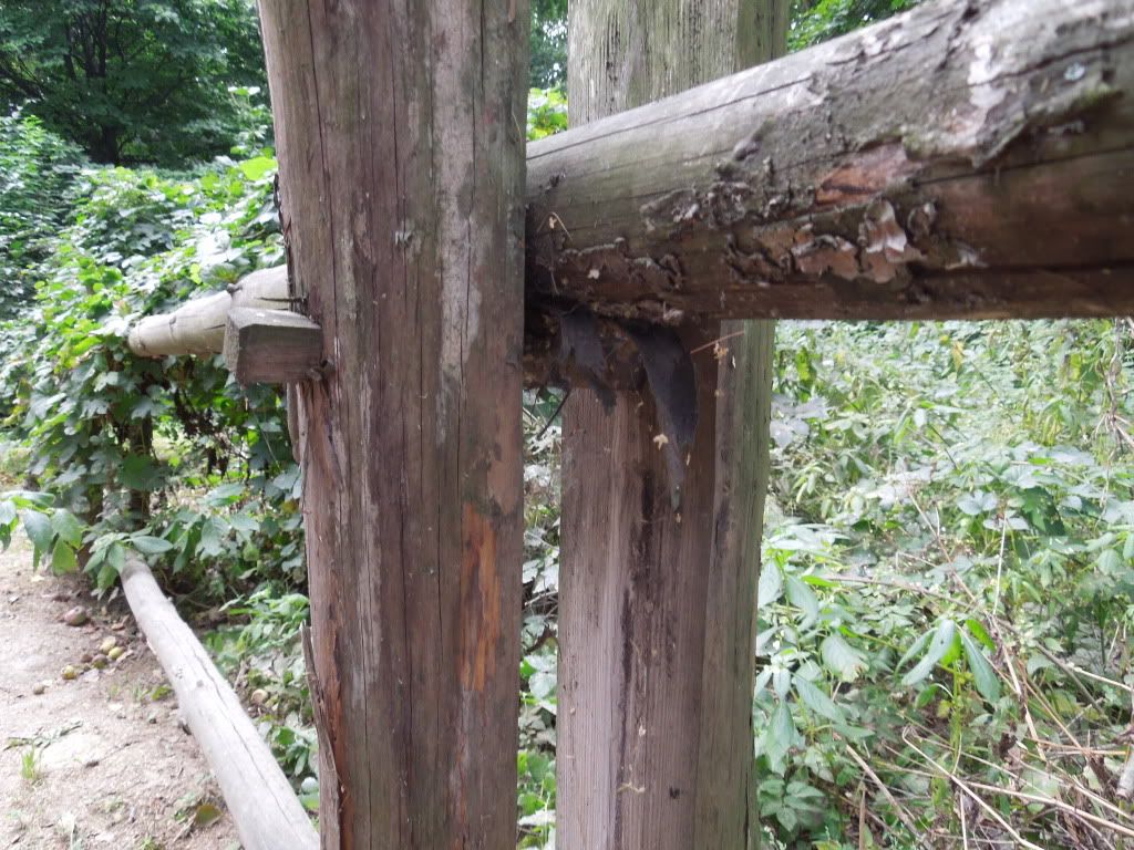 More polish fences - Country Singletree