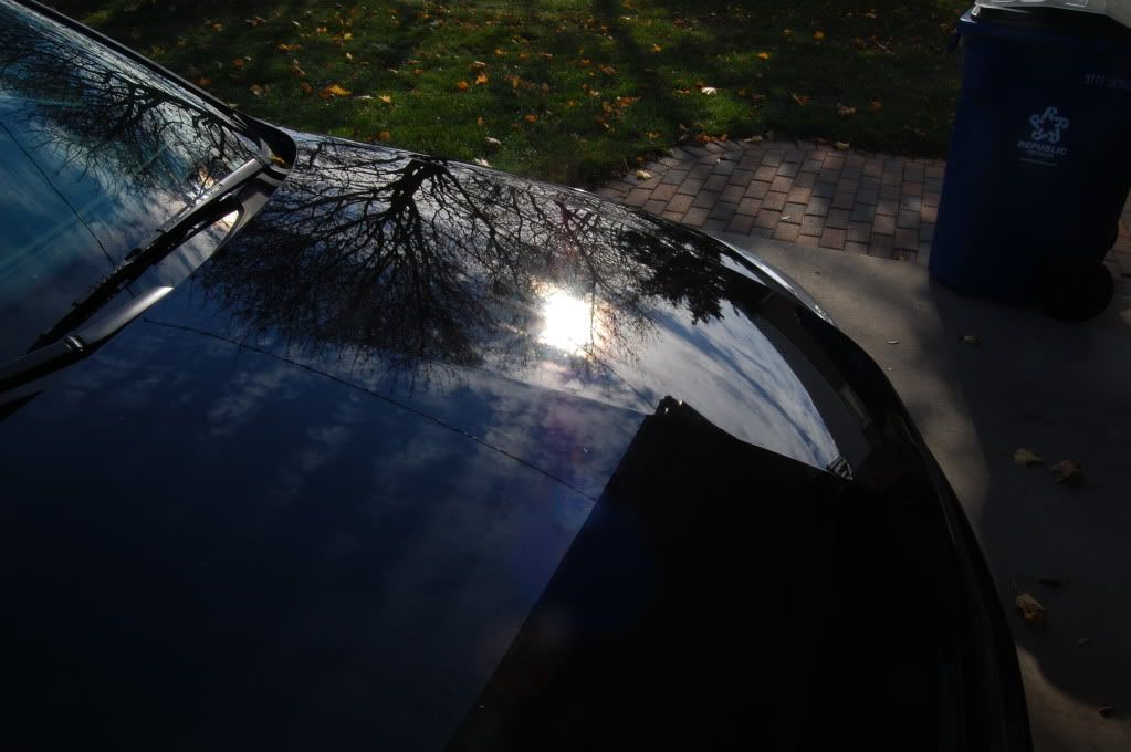 DSC_0084.jpg