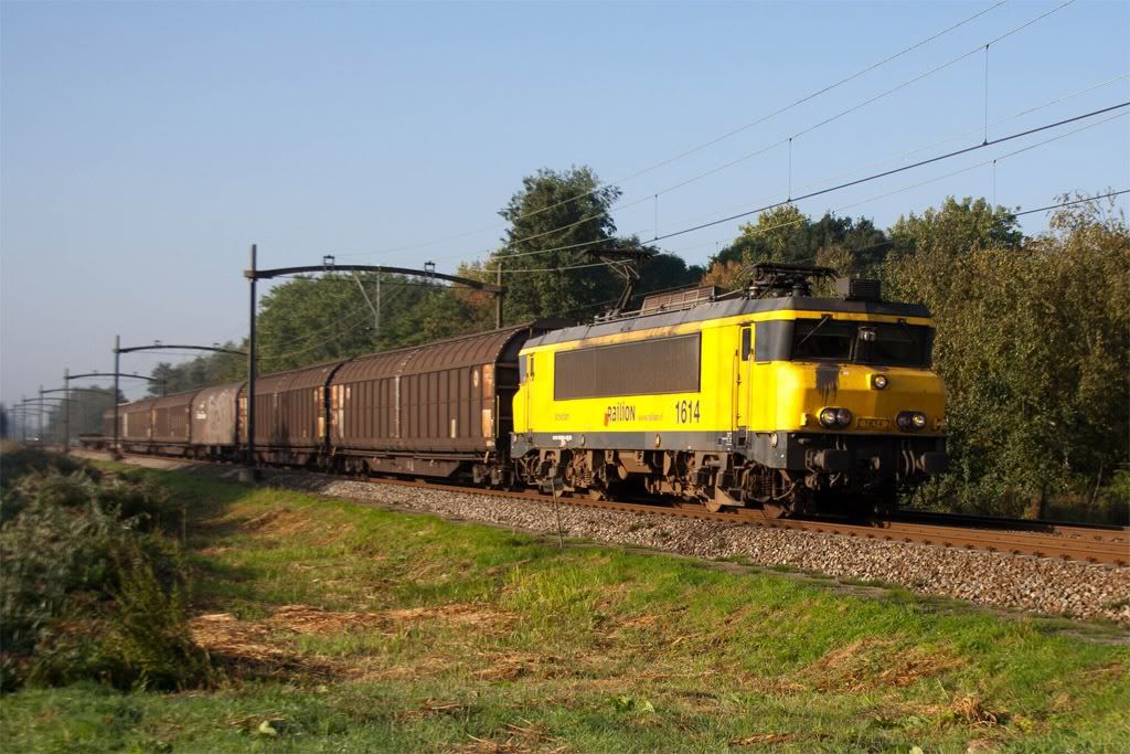 f501-1.jpg