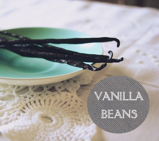 DIY Homemade Vanilla Extract // thepapermama.com 