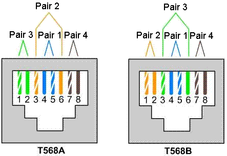 Standard network cable termination types