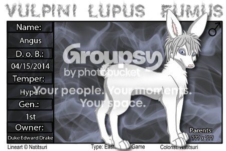 User Image