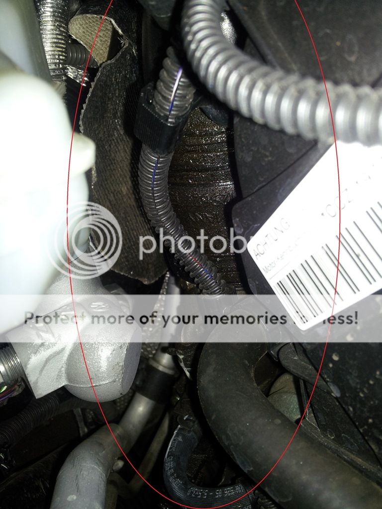 Mysterious oil leak on mk6 GTi The Volkswagen Club of South Africa