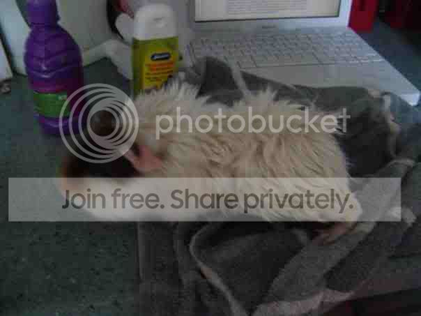 1stbath.jpg